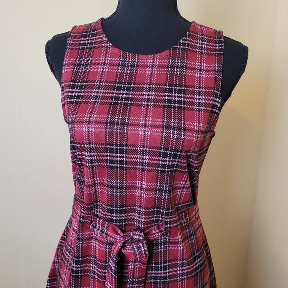 Derek Heart Red Plaid Medium Mini Jumper - Picture 3 of 7